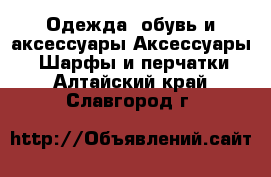 Одежда, обувь и аксессуары Аксессуары - Шарфы и перчатки. Алтайский край,Славгород г.